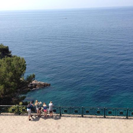 Happy Dubrovnik Centre-Free Parking Apartman Kültér fotó