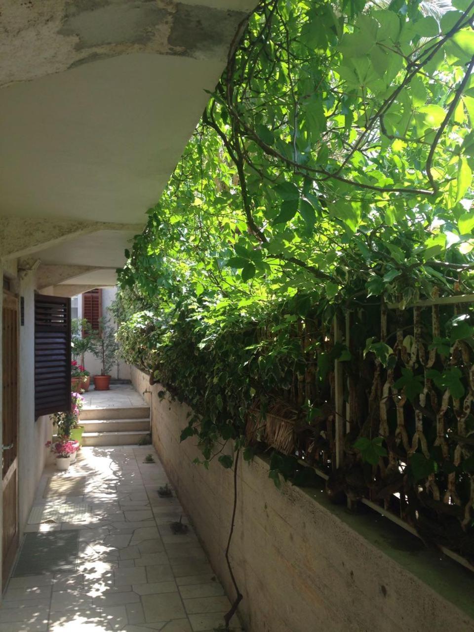 Happy Dubrovnik Centre-Free Parking Apartman Kültér fotó